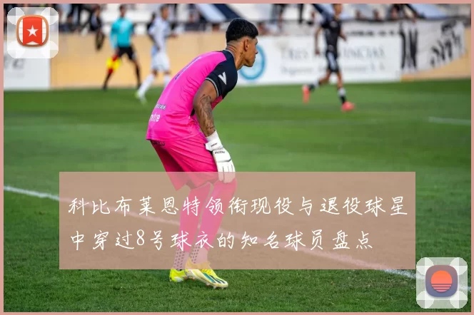 科比布莱恩特领衔现役与退役球星中穿过8号球衣的知名球员盘点