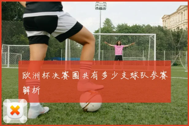 欧洲杯决赛圈共有多少支球队参赛解析