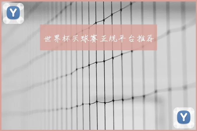 世界杯买球赛正规平台推荐