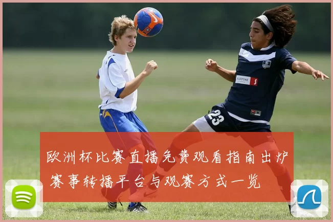 欧洲杯比赛直播免费观看指南出炉 赛事转播平台与观赛方式一览