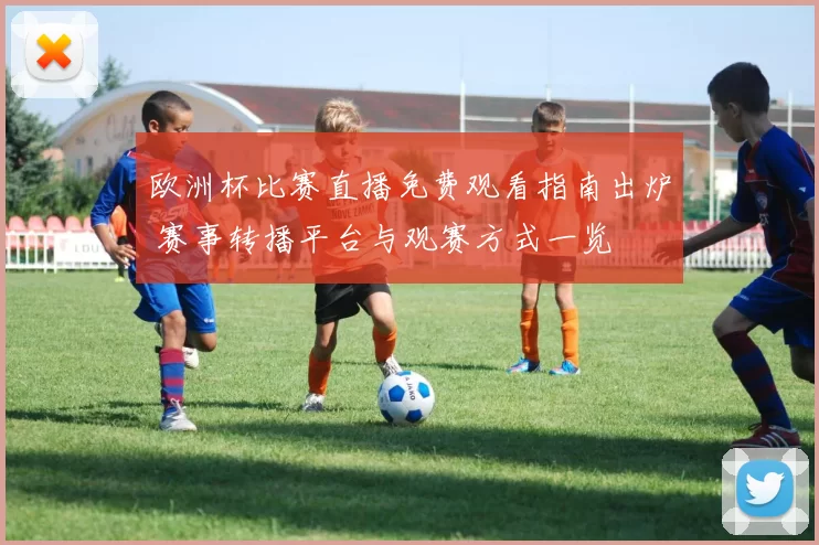 欧洲杯比赛直播免费观看指南出炉 赛事转播平台与观赛方式一览