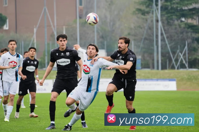 必一运动·(B - sports)官方网站 - 必一运动平台生态图