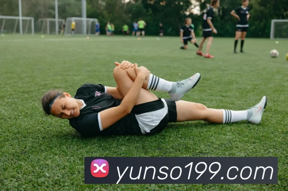 必一运动·(B - sports)官方网站 - 必一运动APP 封面图